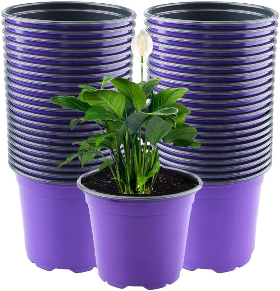 Zestaw 50 fioletowych plastikowych doniczek o średnicy 15 cm, lekkich, do sadzonek i szkółek (15 x 13 cm)