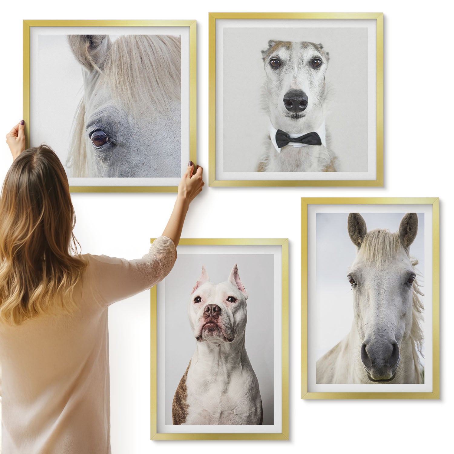 Galeria ścienna 4-częściowy komplet obrazów w złotych ramach - Ciekawe portrety psów i konia w eleganckim stylu - ArtPrintCave