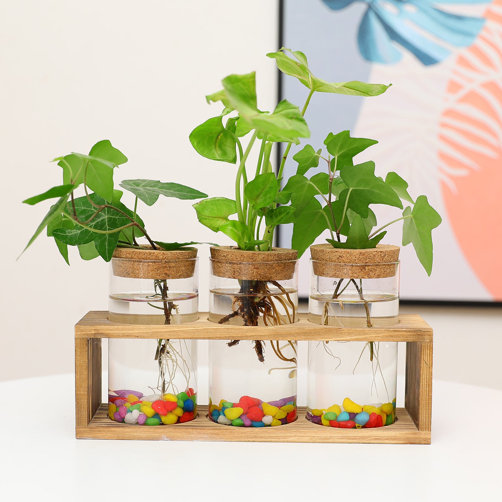 Szklana sadzarka do roślin terrarium z drewnianym stołem stacja rozmnażania z pojemnikami na rośliny hydroponiczne dekoracja wnętrz