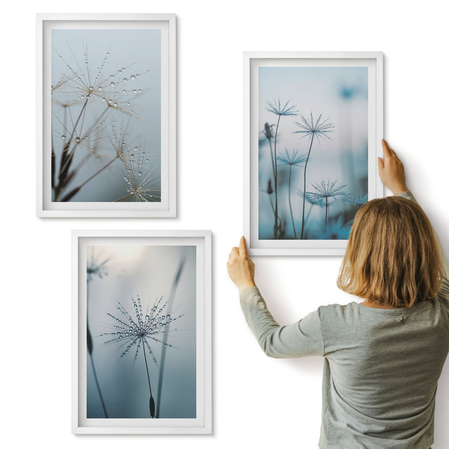 Galeria ścienna 3-częściowy komplet obrazów w białych ramach - Delikatne dmuchawce z kroplami wody - ArtPrintCave