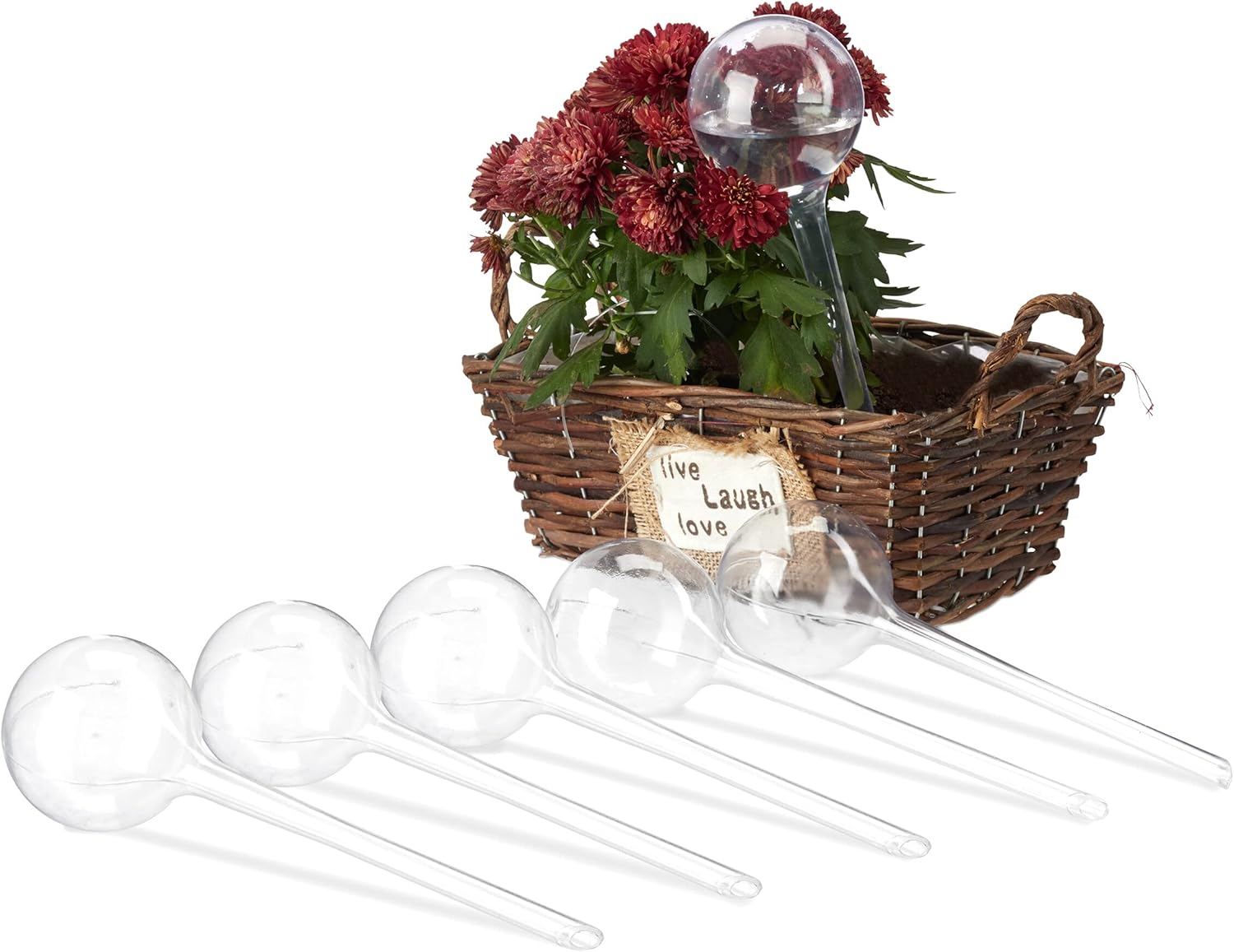 Konewka do roślin, zestaw 6 szt., pojemność: 250 ml, plastik, wys. x gł. 28 x 8 cm, przezroczysta