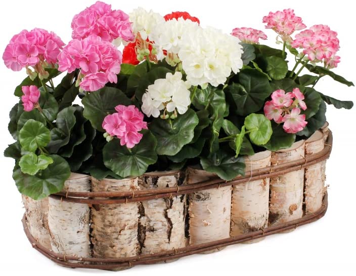 Naturalna owalna donica z brzozowego drewna z folią wewnętrzną na balkon 55x32x15 cm - KOTARBAU