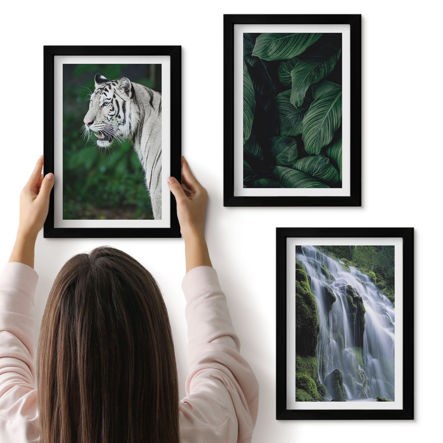 Galeria ścienna 3-częściowy komplet obrazów w czarnych ramach - Tygrys biały liście i wodospad w naturalnym otoczeniu - ArtPrintCave