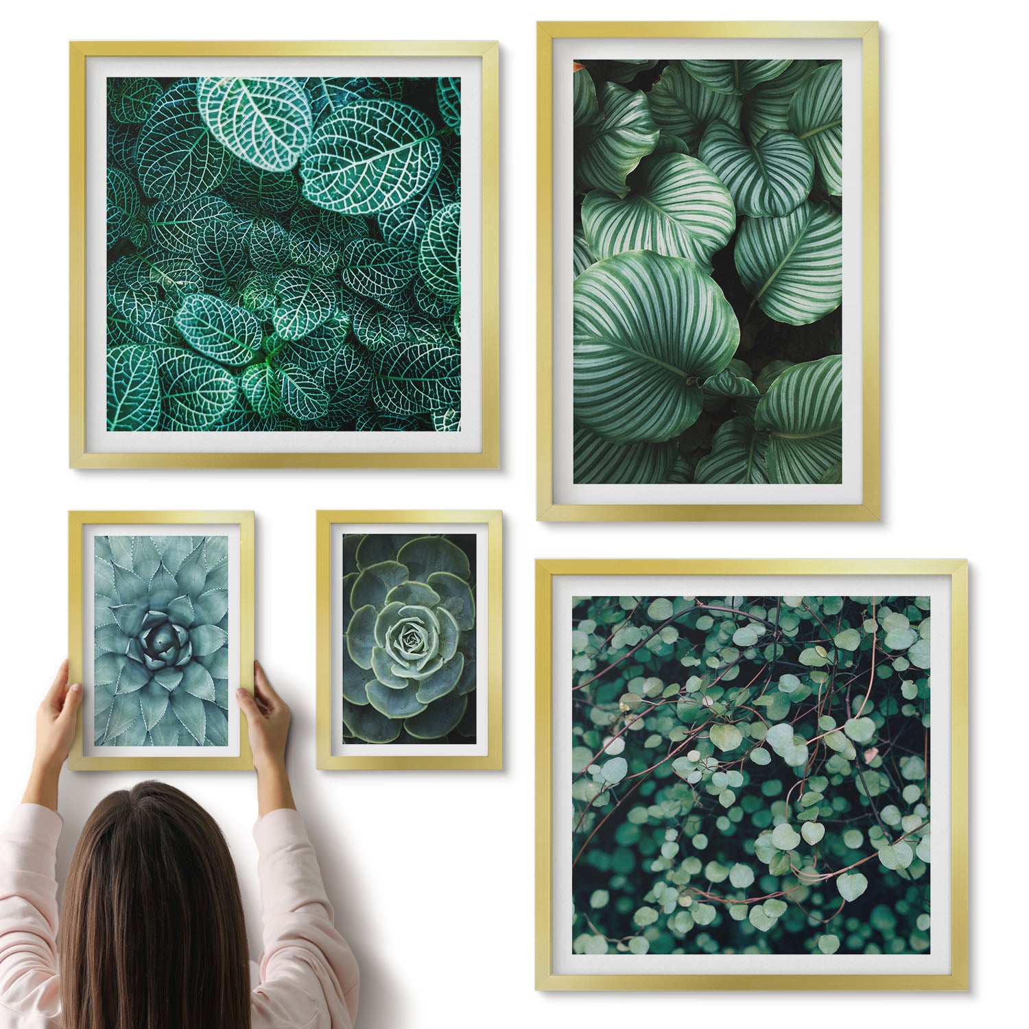 Galeria ścienna 5-częściowy komplet obrazów w złotych ramach - Roślinne motywy z liśćmi i sukulentami w stylu naturalnym - ArtPrintCave