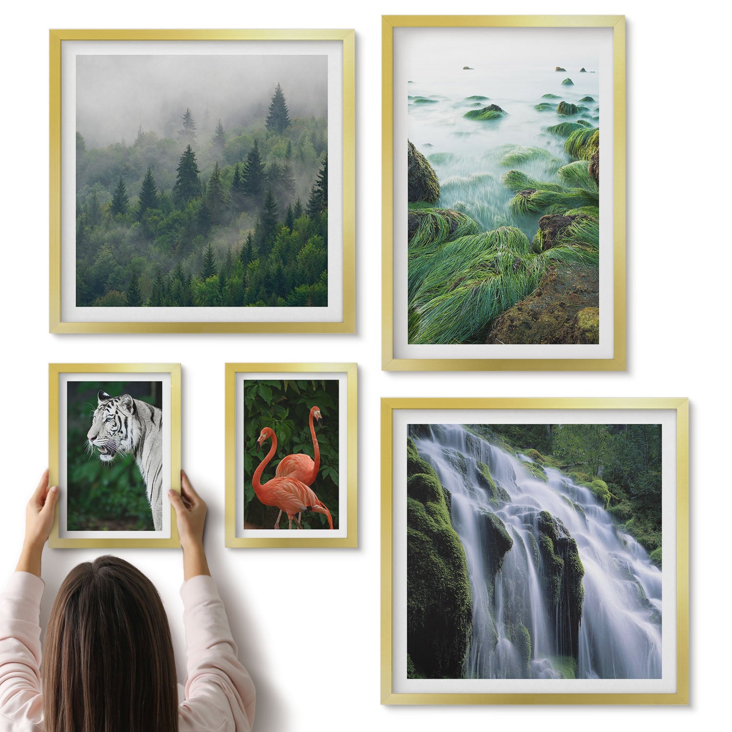 Galeria ścienna 5-częściowy komplet obrazów w złotych ramach - Przyroda w różnych odsłonach z dzikimi zwierzętami i krajobrazami - ArtPrintCave