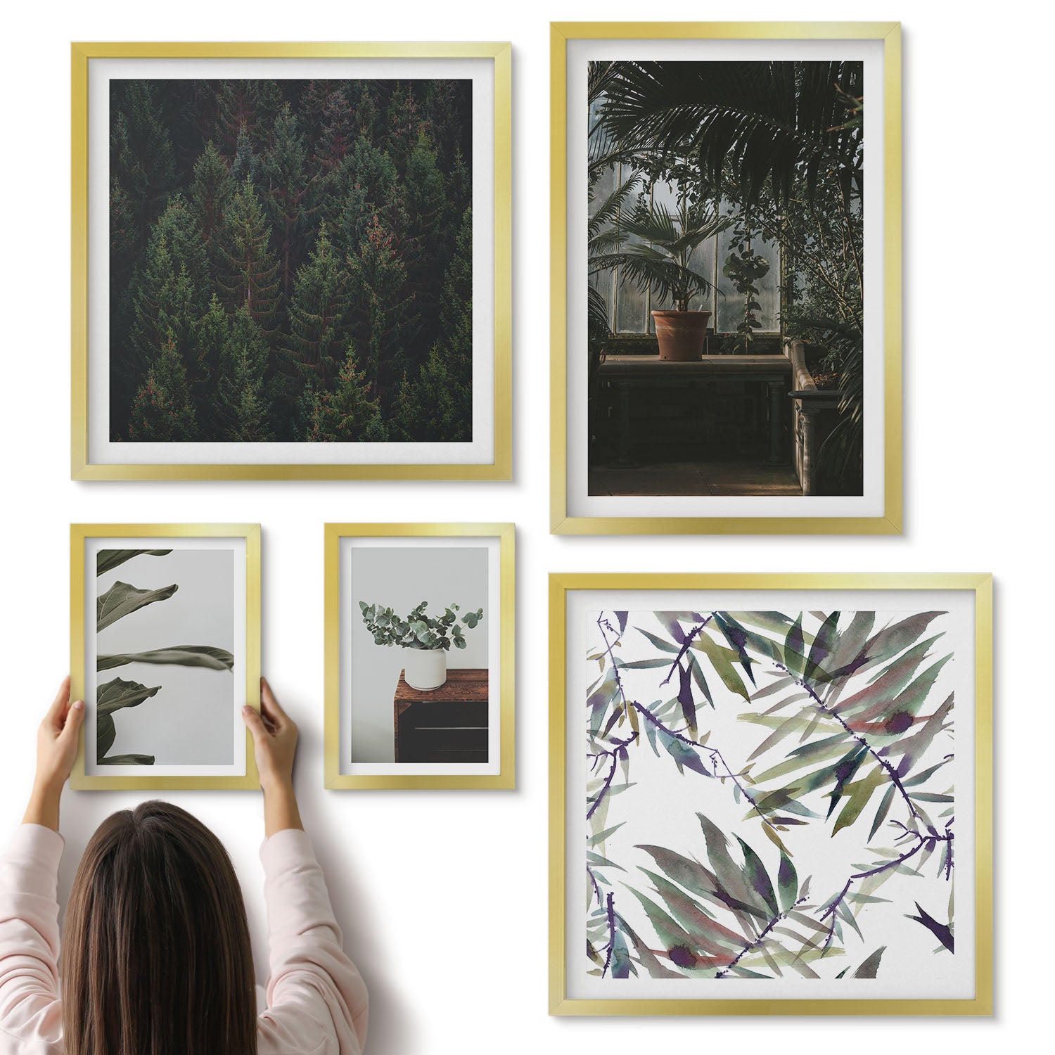 Galeria ścienna 5-częściowy komplet obrazów w złotych ramach - Zielona oaza roślinne motywy i naturalne akcenty - ArtPrintCave