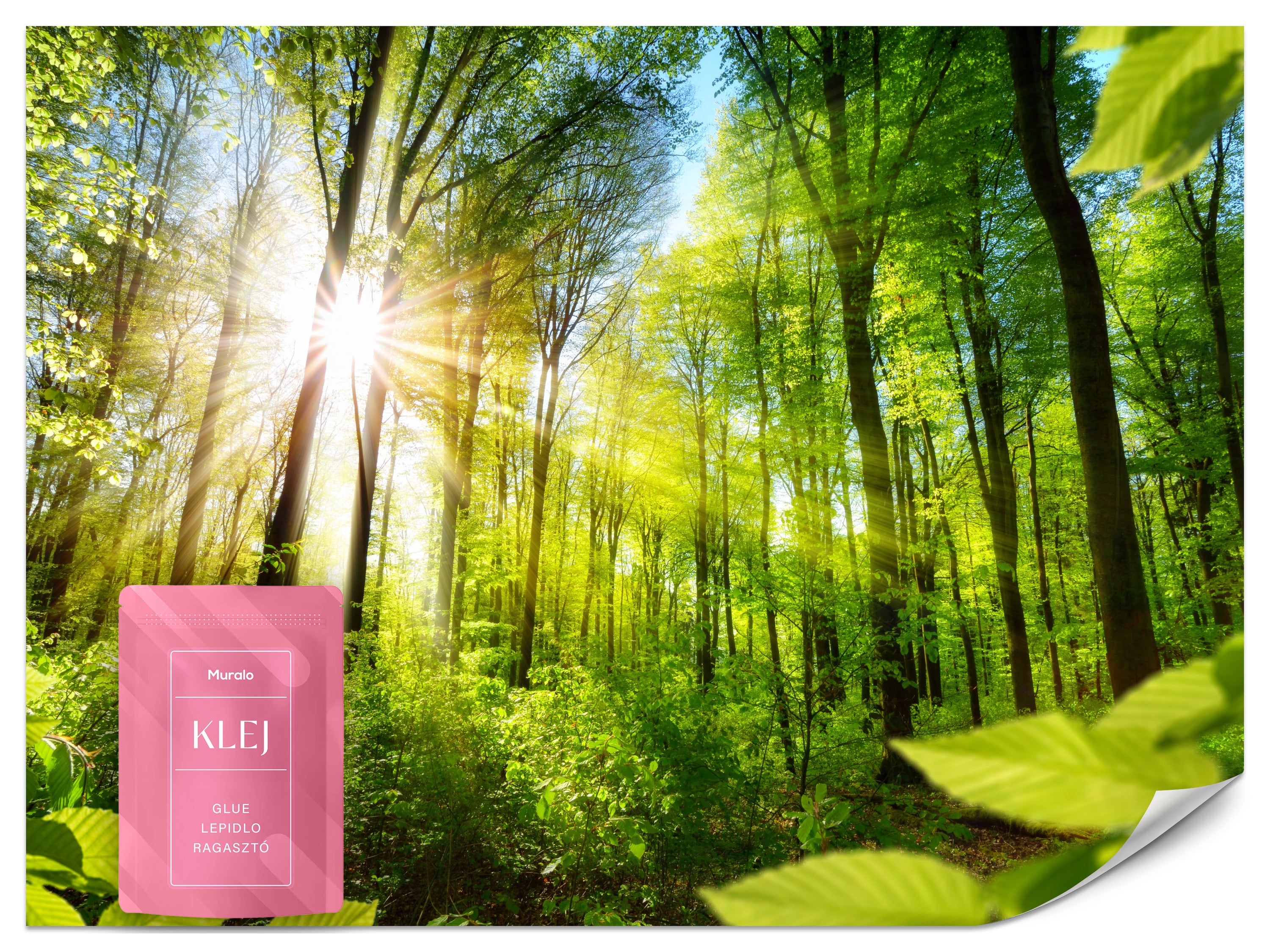FOTOTAPETA DO SALONU SŁONECZNY LAS KRAJOBRAZ NATURA LIŚCIE EFEKT 3D 500x350
