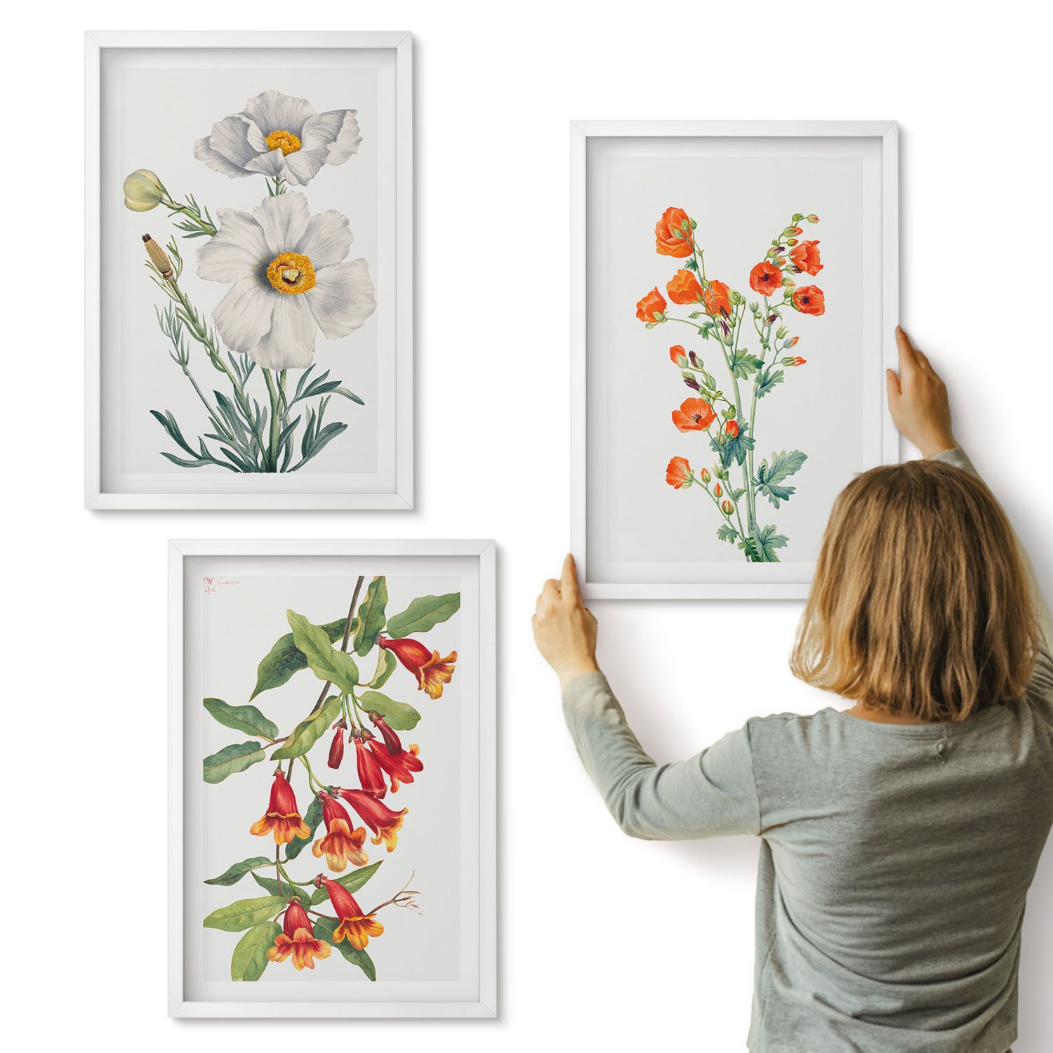 Galeria ścienna 3-częściowy komplet obrazów w białych ramach - Kwiatowe kompozycje retro vintage malarstwo - ArtPrintCave