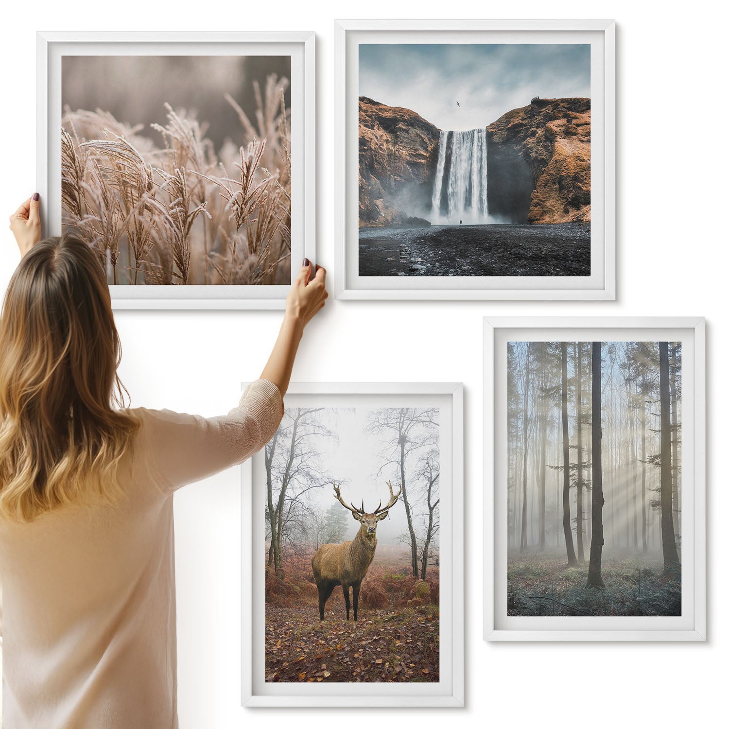 Galeria ścienna 4-częściowy komplet obrazów w białych ramach - Leśne krajobrazy dzika natura jeleń - ArtPrintCave