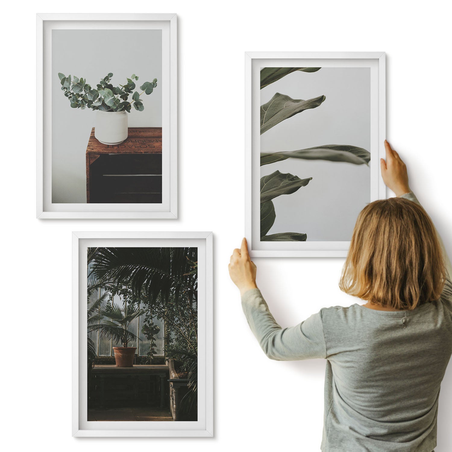 Galeria ścienna 3-częściowy komplet obrazów w białych ramach - Rośliny w doniczkach liście w rustykalnym stylu - ArtPrintCave