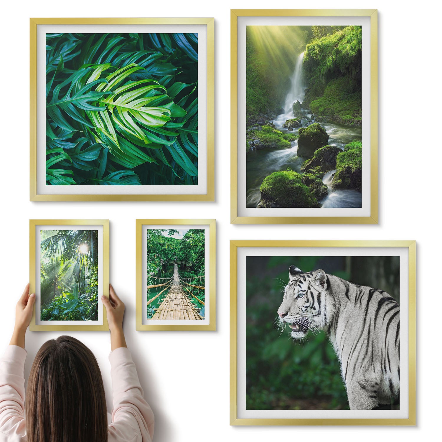 Galeria ścienna 5-częściowy komplet obrazów w złotych ramach - Tropikalne pejzaże z dziką przyrodą i zwierzętami - ArtPrintCave