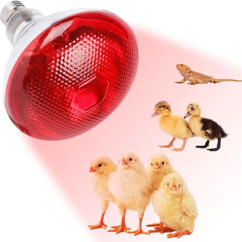 Lampa grzewcza dla gadów, żarówki grzewcze 250 W dla gadów, żarówka grzewcza na podczerwień E27, dla szczeniąt, piskląt, żółwi, węży, chomików