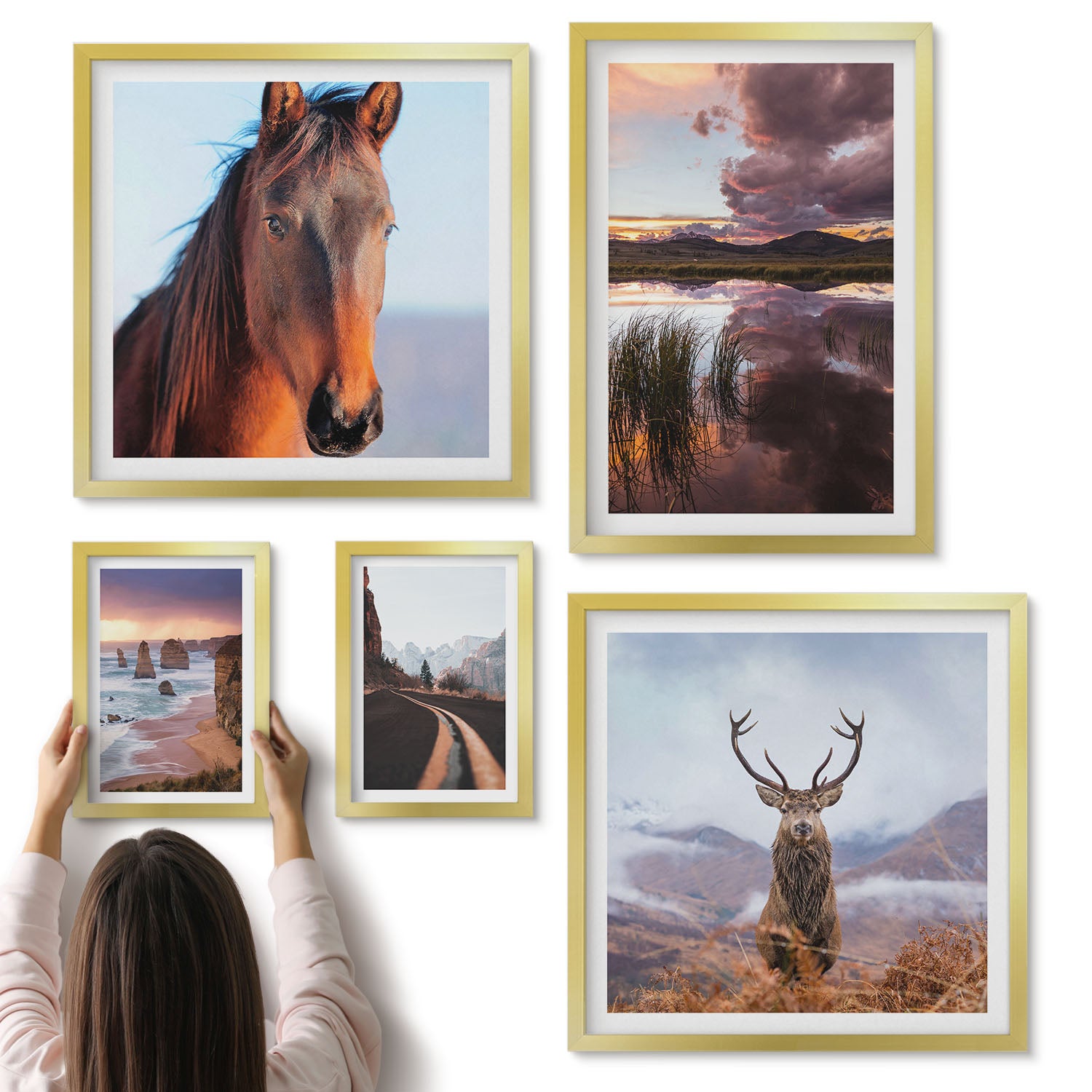 Galeria ścienna 5-częściowy komplet obrazów w złotych ramach - Naturalne piękno krajobrazów i zwierząt w plenerze - ArtPrintCave