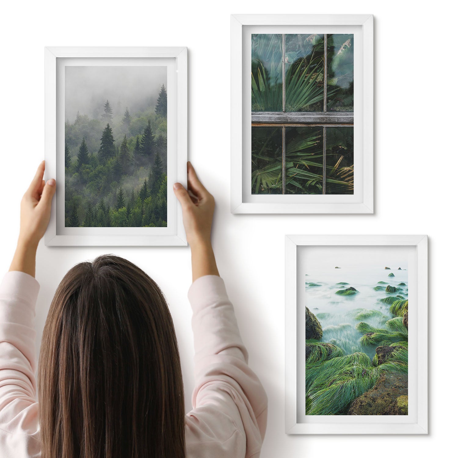 Galeria ścienna 3-częściowy komplet obrazów w białych ramach - Las we mgle brzeg rzeki i szklarnia z roślinami - ArtPrintCave