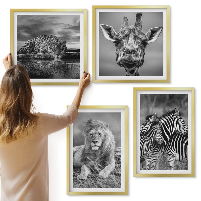Galeria ścienna 4-częściowy komplet obrazów w złotych ramach - Dzikie zwierzęta lew jaguar żyrafa i zebry - ArtPrintCave