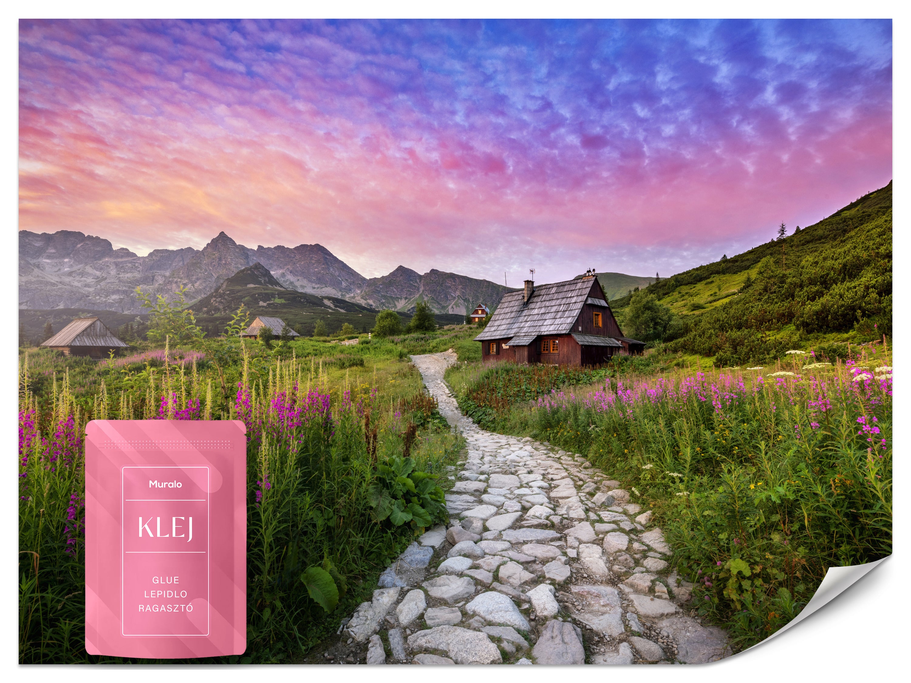 FOTOTAPETA DO SALONU SYPIALNI HALA GĄSIENICOWA TATRY KRAJOBRAZ 3D 500x350