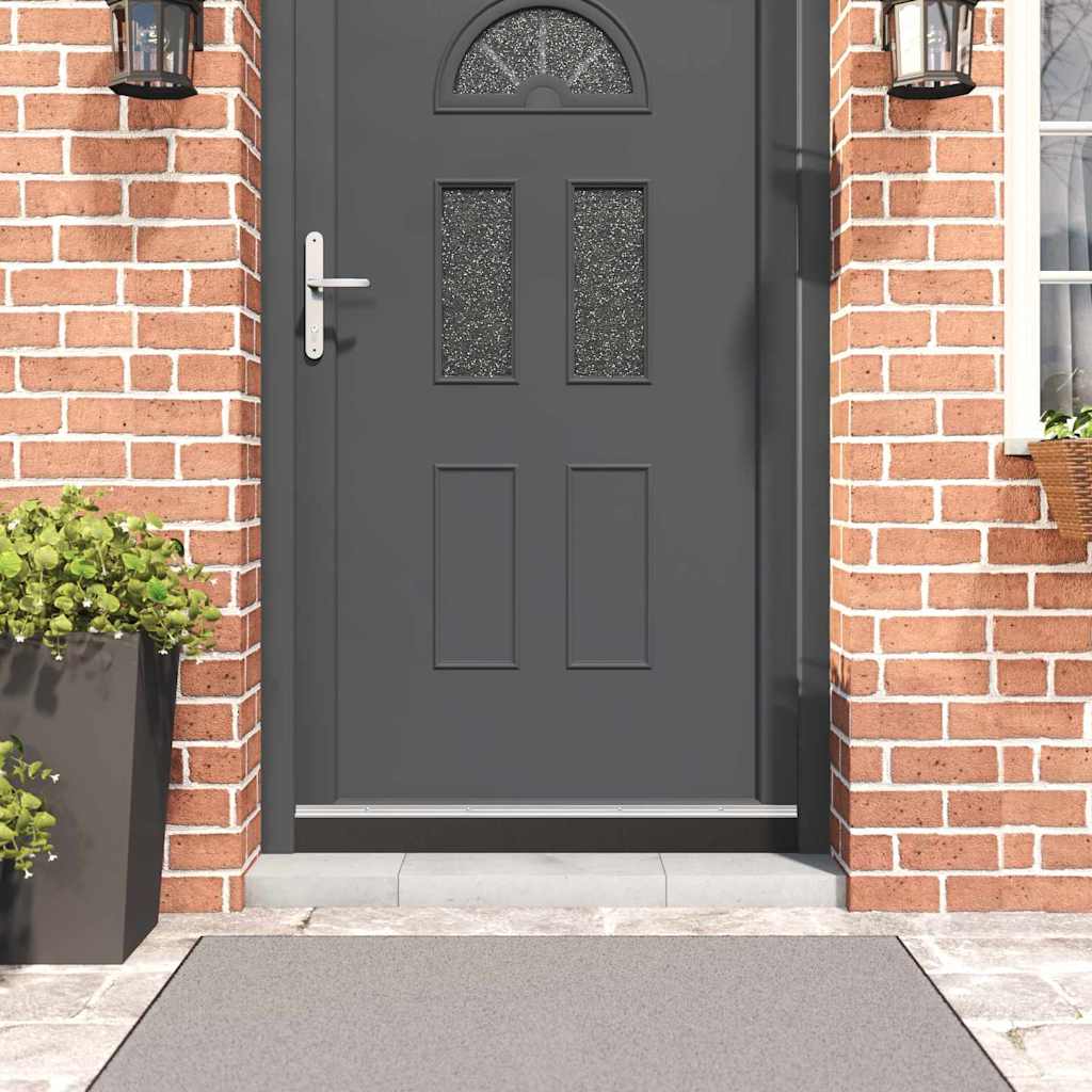Uszczelki z szczotką do drzwi na zatrzask 2 pcs Srebrny 100 cm vidaXL