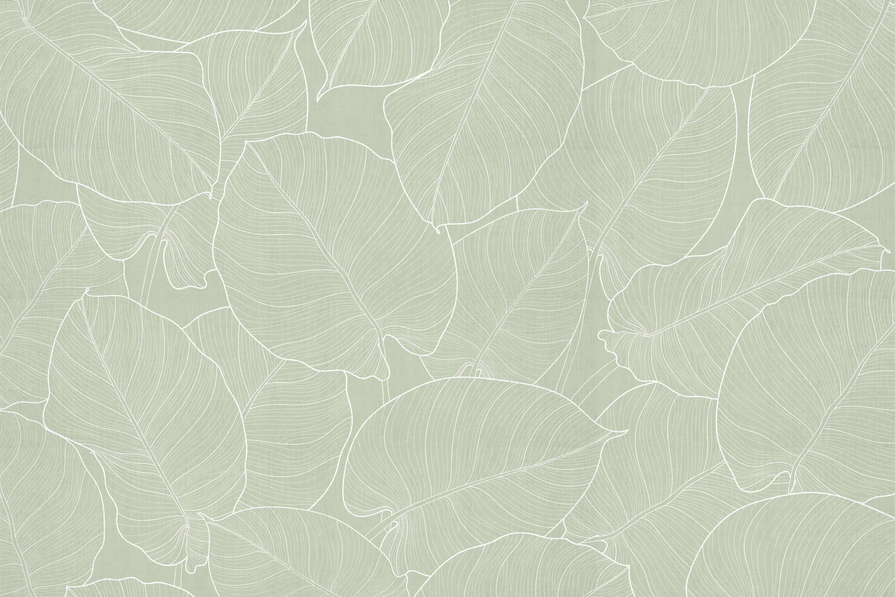 Mata winylowa Green Leaves 200x300 cm - PVC antypoślizgowa, gładka z nadrukiem, winylowa do kuchni lub salonu, zmywalna