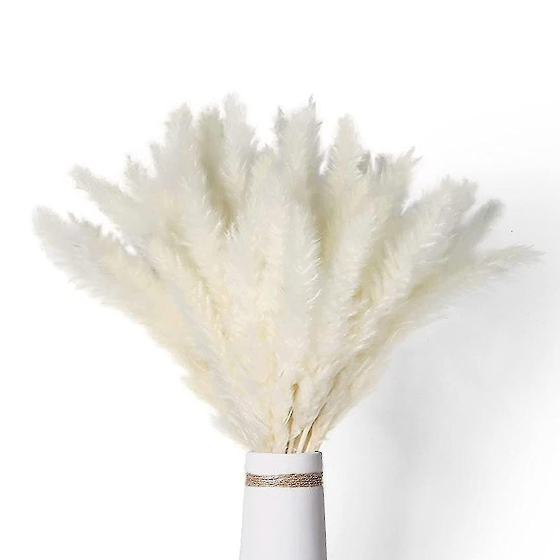 Zestaw 30 sztuk dekoracji w stylu boho o długości 43 cm, do suszonych roślin pampasowych, dekoracja wnętrz w stylu boho, gałązki pampasowe