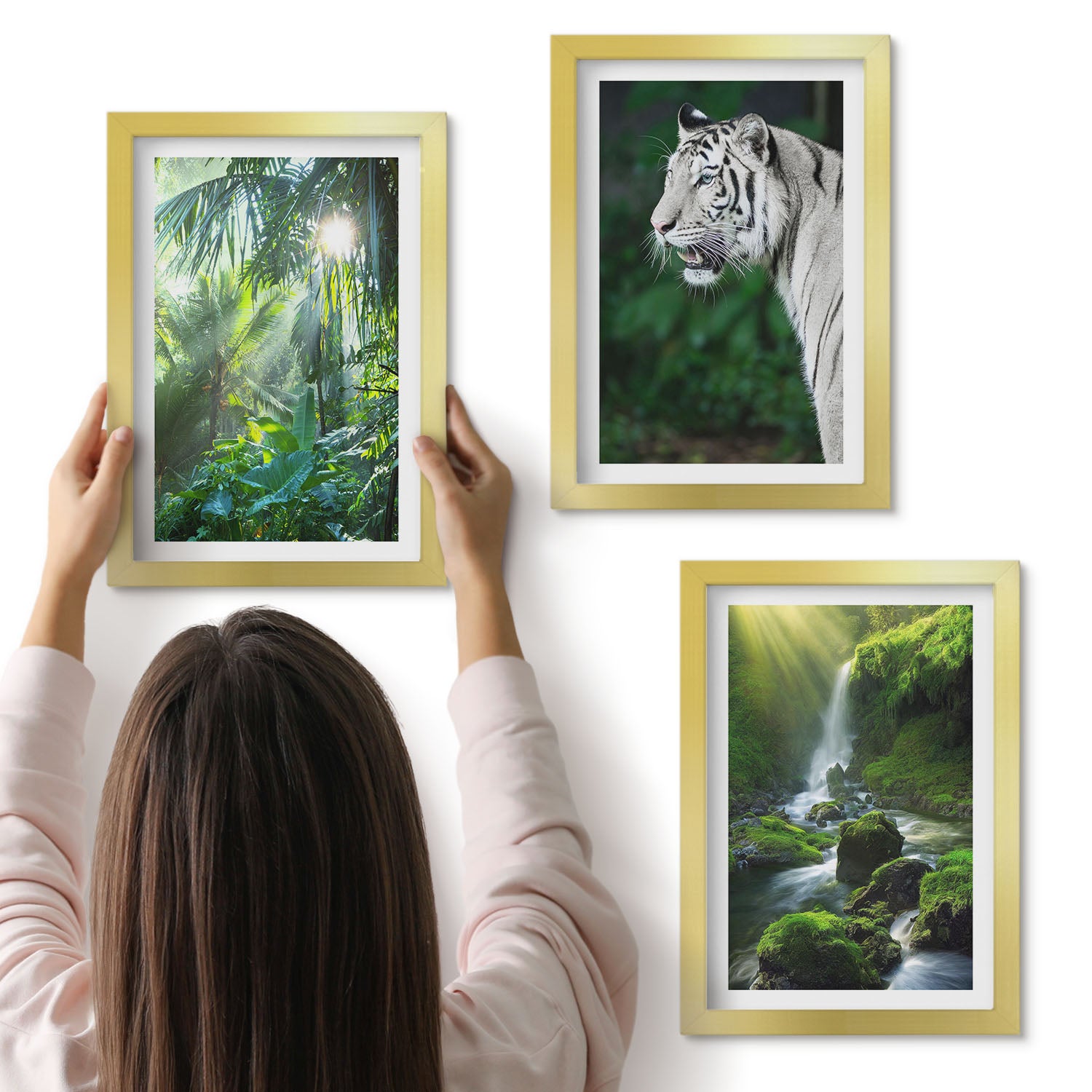 Galeria ścienna 3-częściowy komplet obrazów w złotych ramach - Dżungla z białym tygrysem i dzikim wodospadem - ArtPrintCave