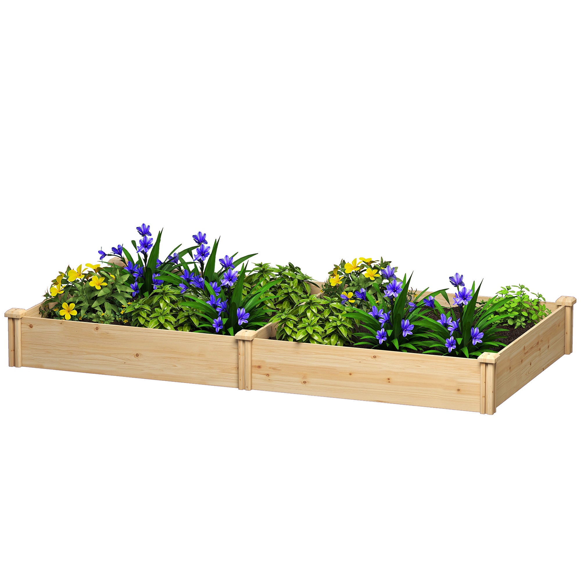 Podwyższona drewniana donica do ogrodnictwa miejskiego z przegrodą i otwartą podstawą, 235 x 121 x 26 cm, kolor naturalny