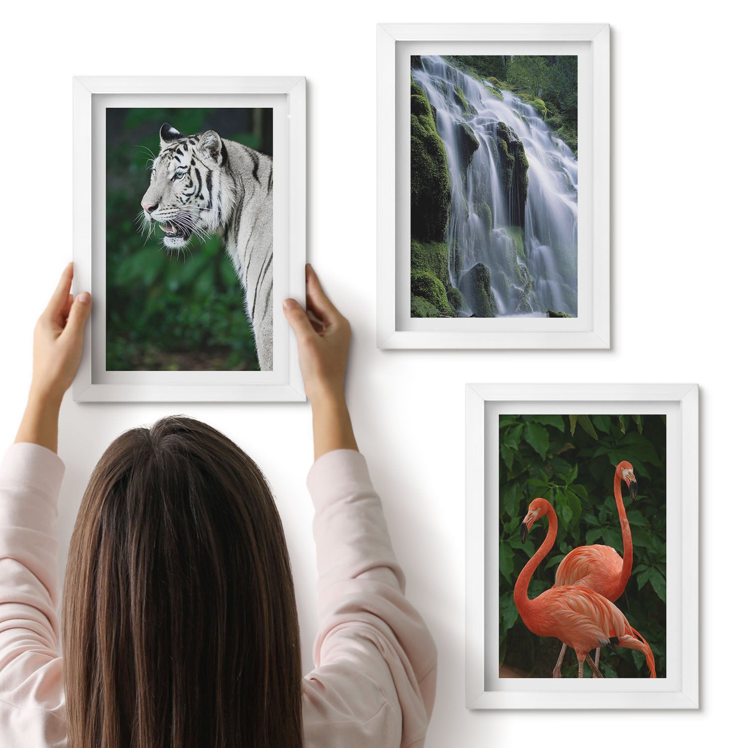 Galeria ścienna 3-częściowy komplet obrazów w białych ramach - Tygrys wodospad i różowe flamingi w naturze - ArtPrintCave