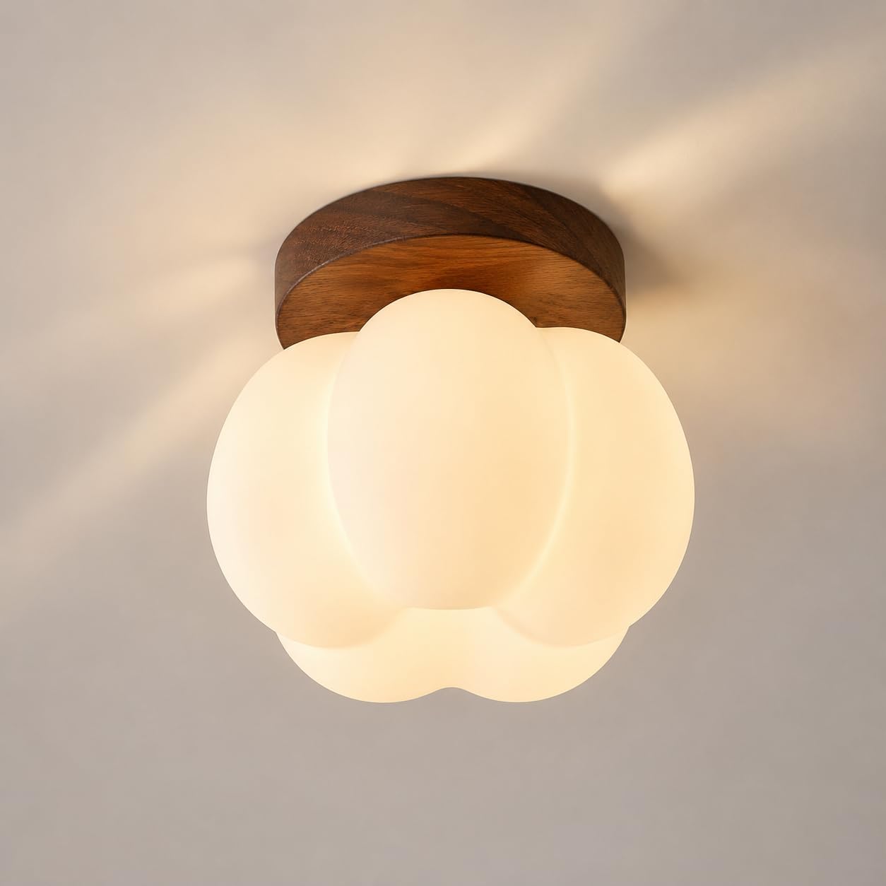 Brązowa lampa sufitowa w kształcie kwiatu*1 sztuka, 16 cm, odpowiednia do przedpokoju, salonu i sypialni (światło białe [G9]).