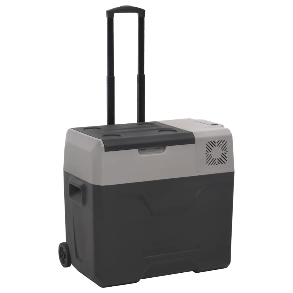 Lodówka na kółkach, z uchwytem, czarno-szara, 30 L, PP vidaXL