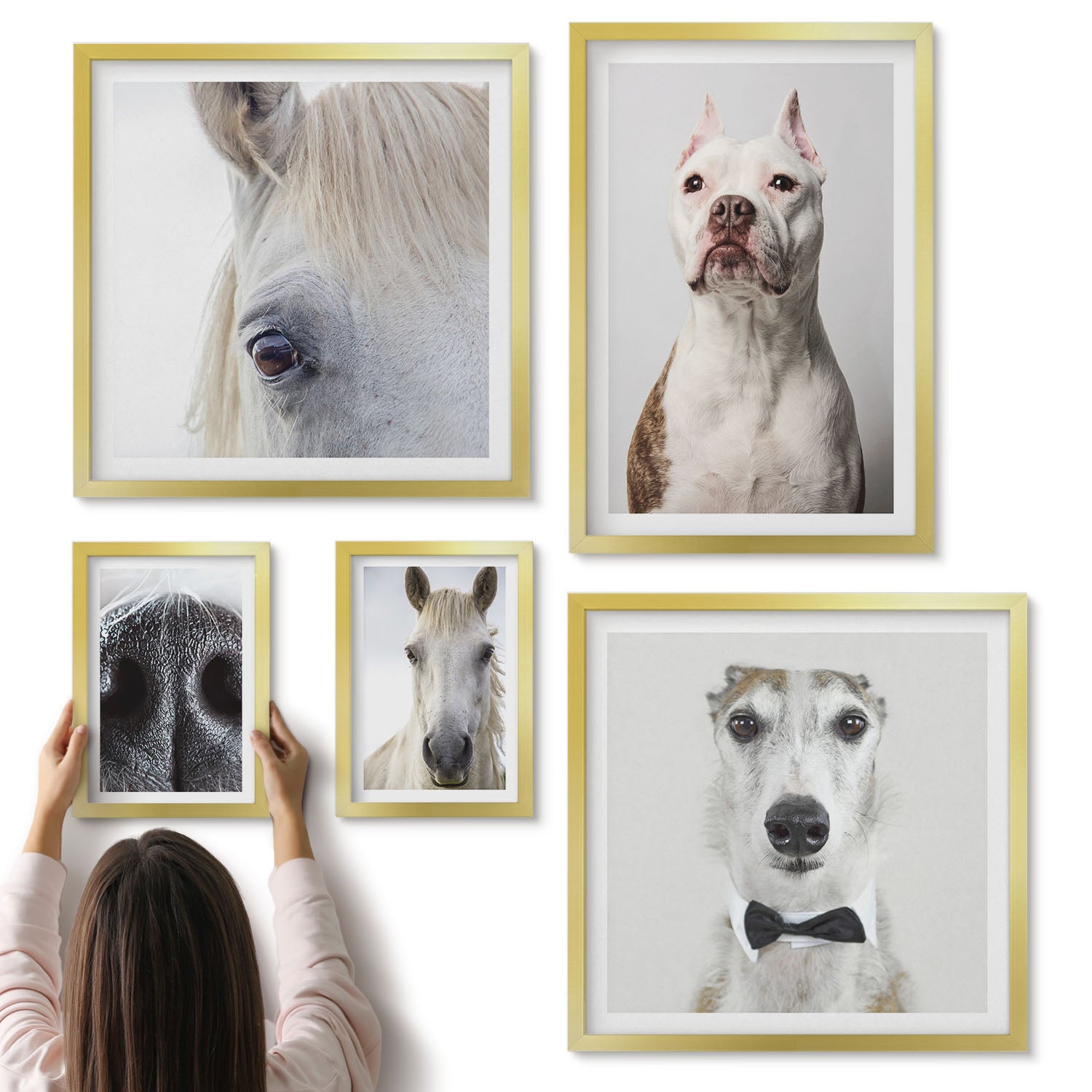 Galeria ścienna 5-częściowy komplet obrazów w złotych ramach - Portrety zwierząt domowych w stylu nowoczesnym - ArtPrintCave