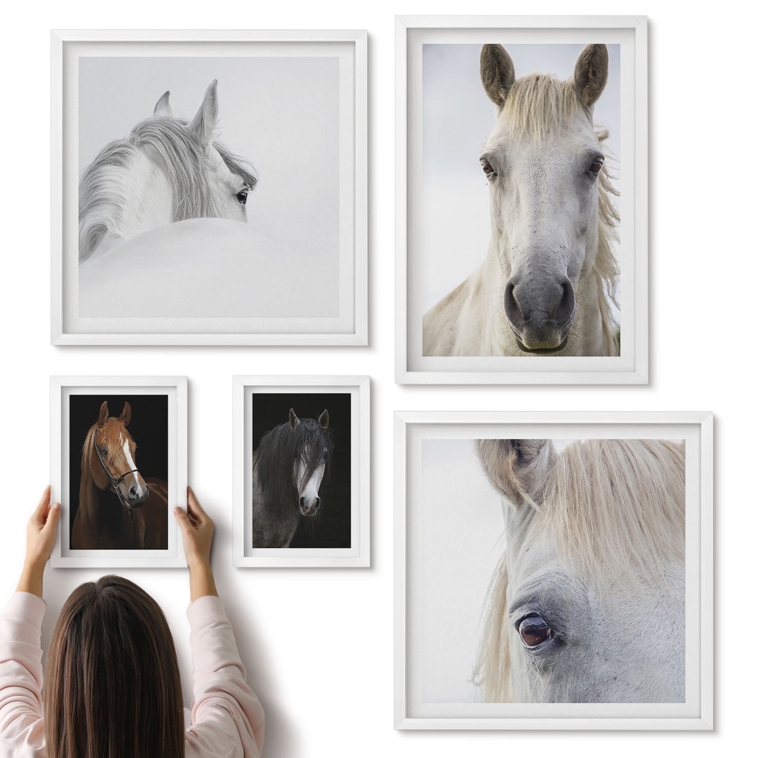 Galeria ścienna 5-częściowy komplet obrazów w białych ramach - Portrety koni w różnych ujęciach i stylach artystycznych - ArtPrintCave