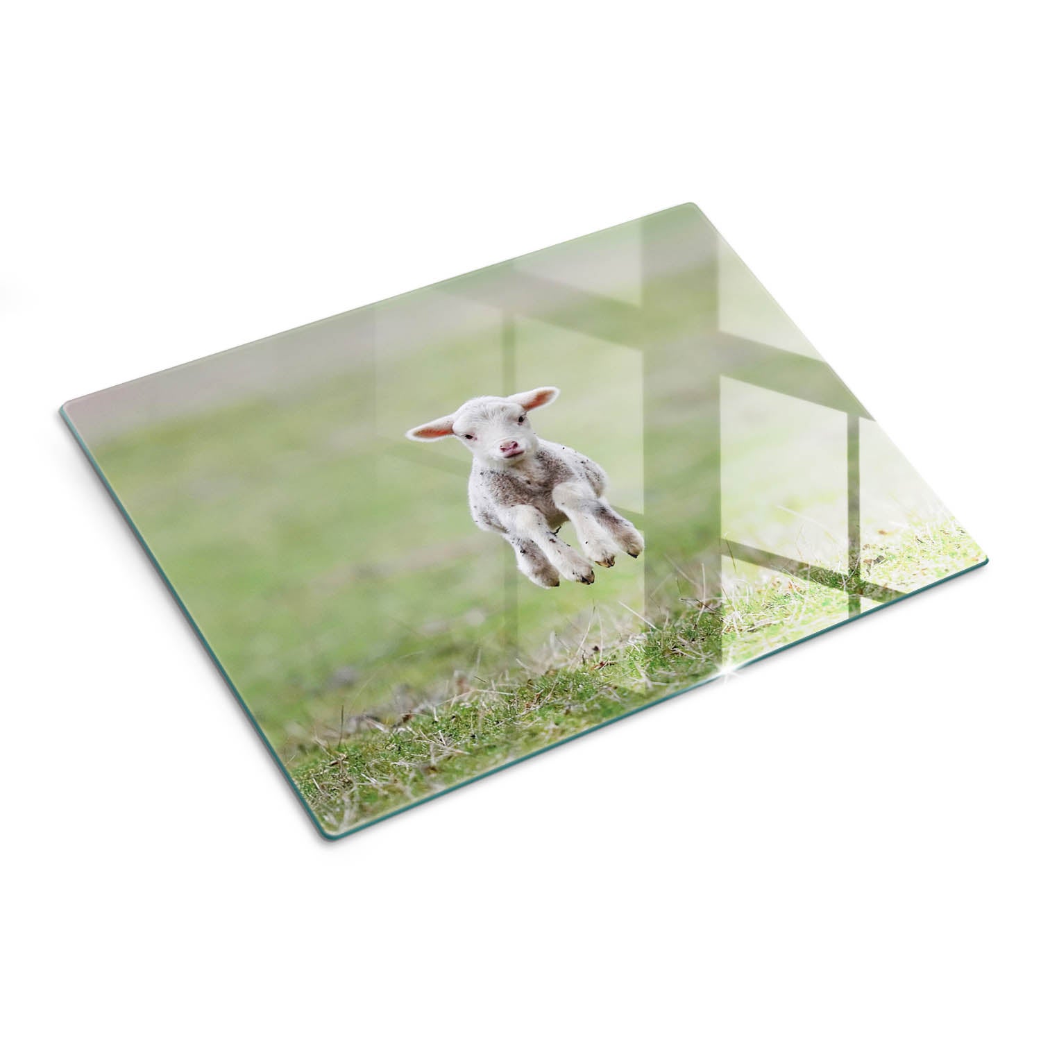 Elegancka deska kuchenna ze szkła z dekoracyjnym nadrukiem - Słodkie Jagniątko - 30x40 - Tulup