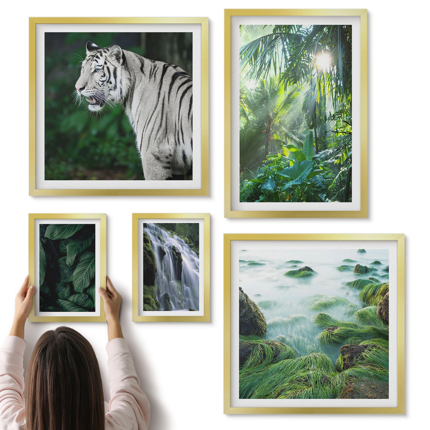 Galeria ścienna 5-częściowy komplet obrazów w złotych ramach - Tropikalna przyroda z dzikimi zwierzętami i wodospadami - ArtPrintCave
