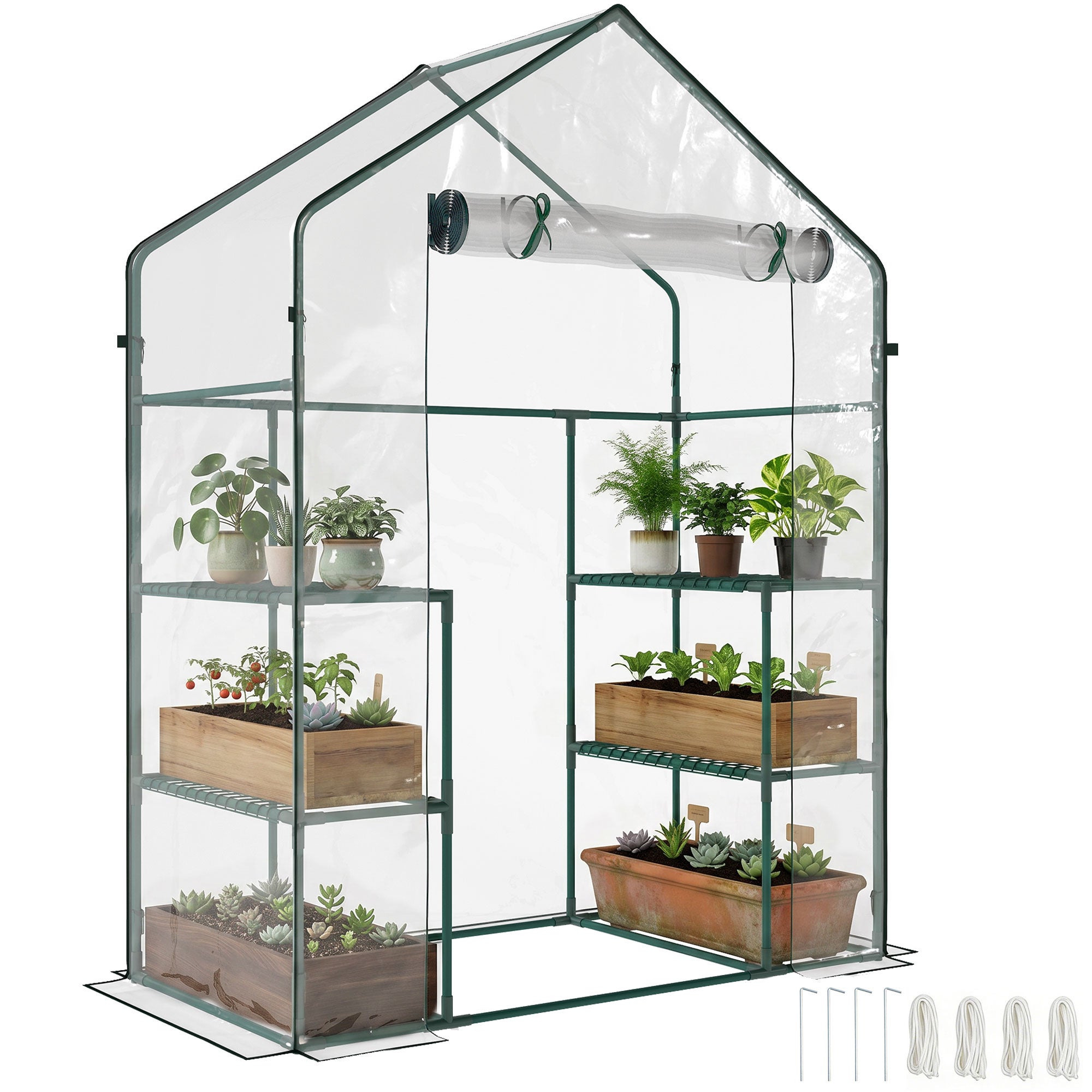 56" x 29" x 77" mini szklarnia, szklarnia wejściowa, ogrógł. gorący dom z 4 półki, zwijany drzwi i Weatherized pokrowiec, Deep zielony