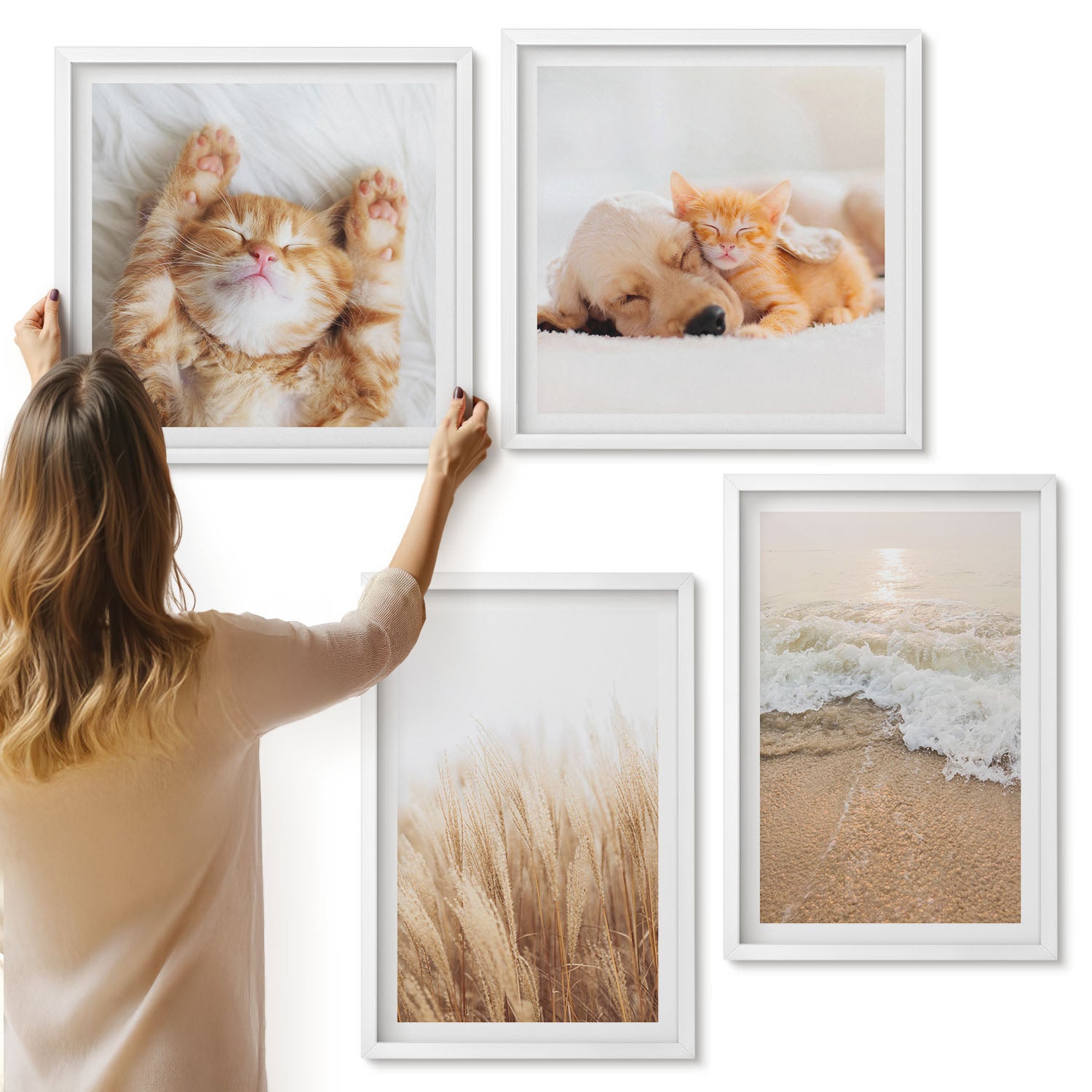 Galeria ścienna 4-częściowy komplet obrazów w białych ramach - Słodkie zwierzaki koty pies plaża trawa boho - ArtPrintCave