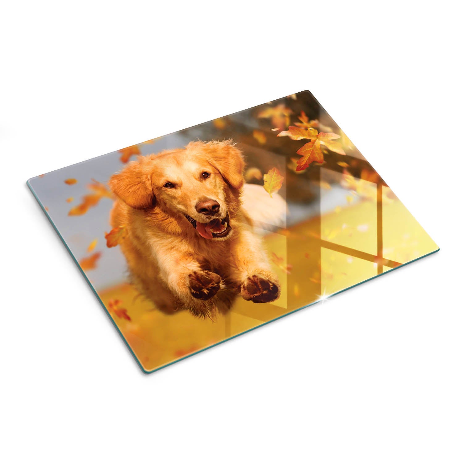 Dekoracyjna płyta szklana do kuchni z eleganckim wzorem - Pies Golden Retriever - 30x40 - Tulup
