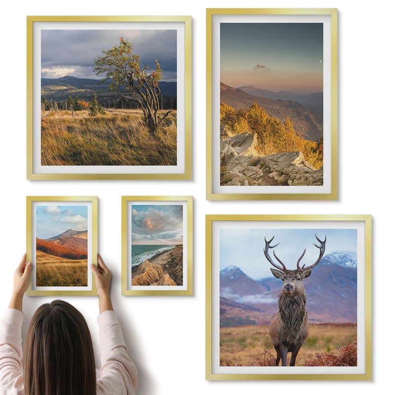 Galeria ścienna 5-częściowy komplet obrazów w złotych ramach - Naturalne krajobrazy z dziką fauną i florą górską - ArtPrintCave