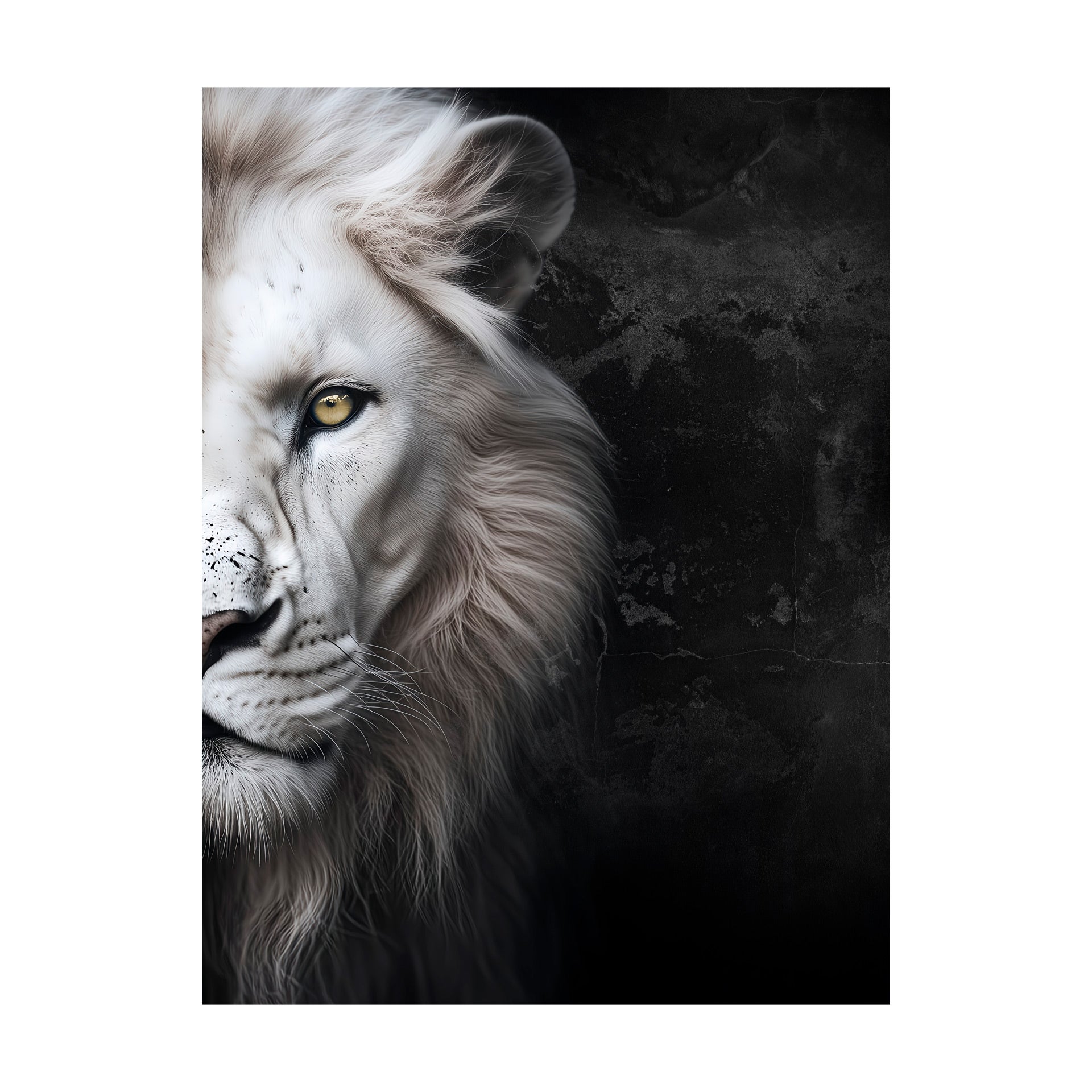 STYLER Obraz na płótnie CANVAS White Lion 60x80