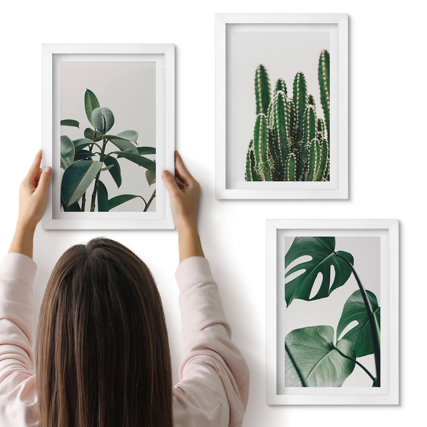 Galeria ścienna 3-częściowy komplet obrazów w białych ramach - Tropikalne rośliny domowe estetyczne liście - ArtPrintCave