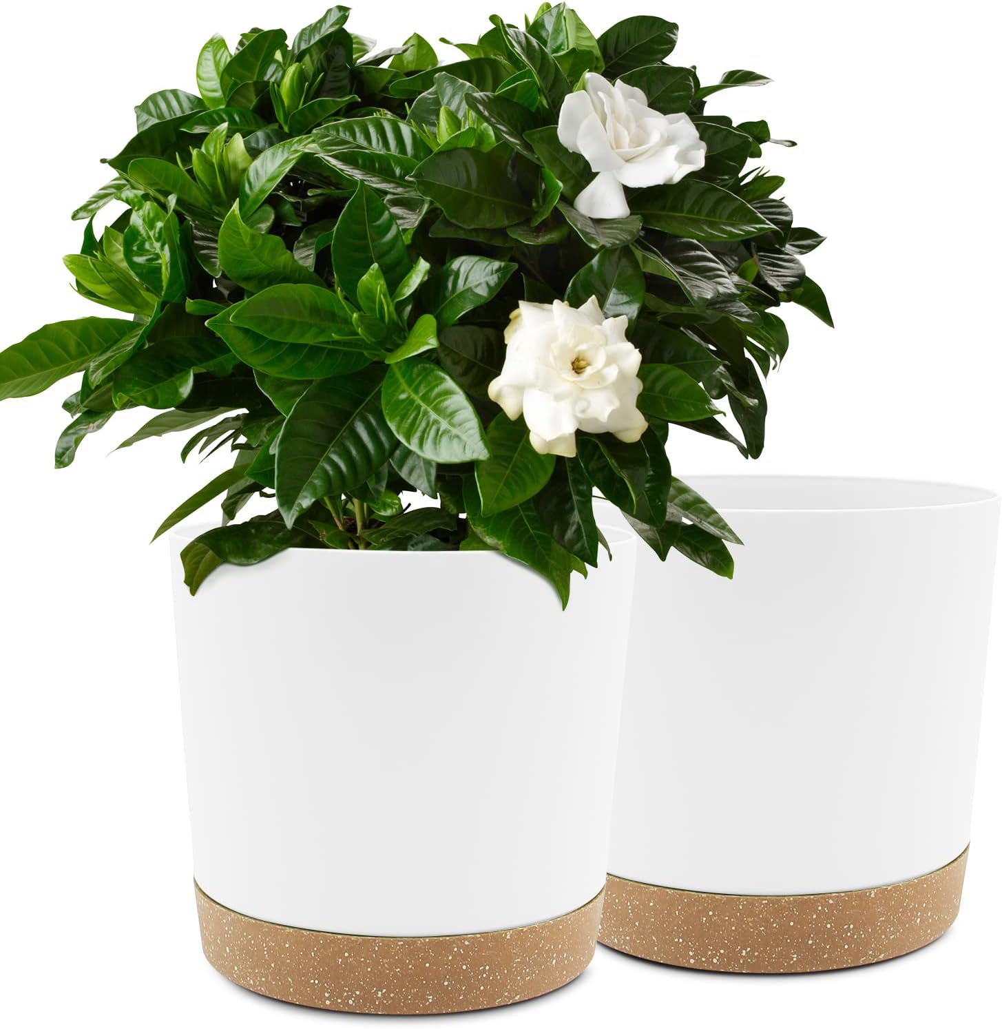 plastikowe doniczki, średnica 20, długość 20 x szerokość 20 x wysokość 19 cm, kolor zielony