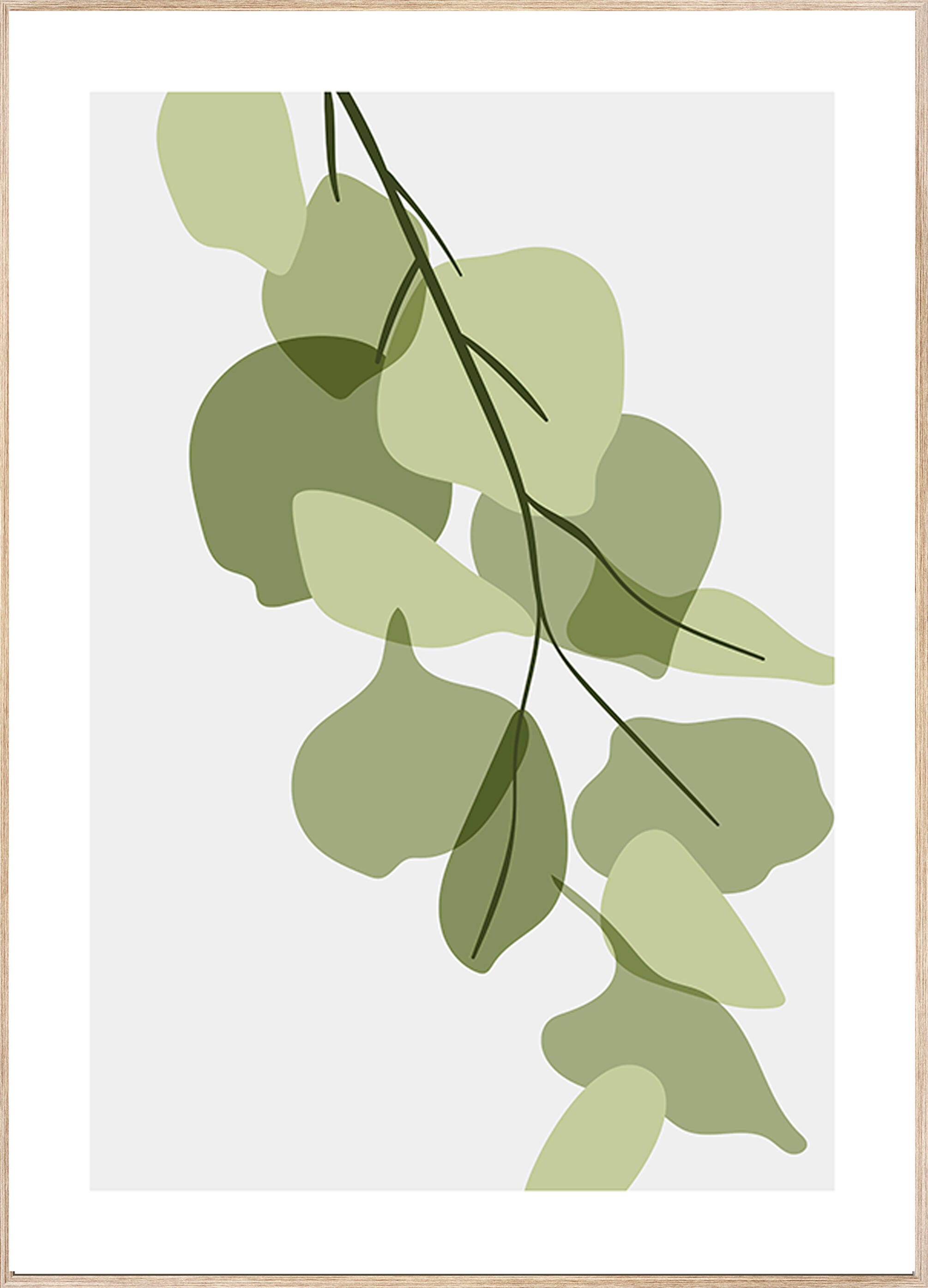 Obraz drukowany w ramie Botaniczny prostokątny 51 x 71 cm. MDF Zielony liść. Rama w kolorze buku
