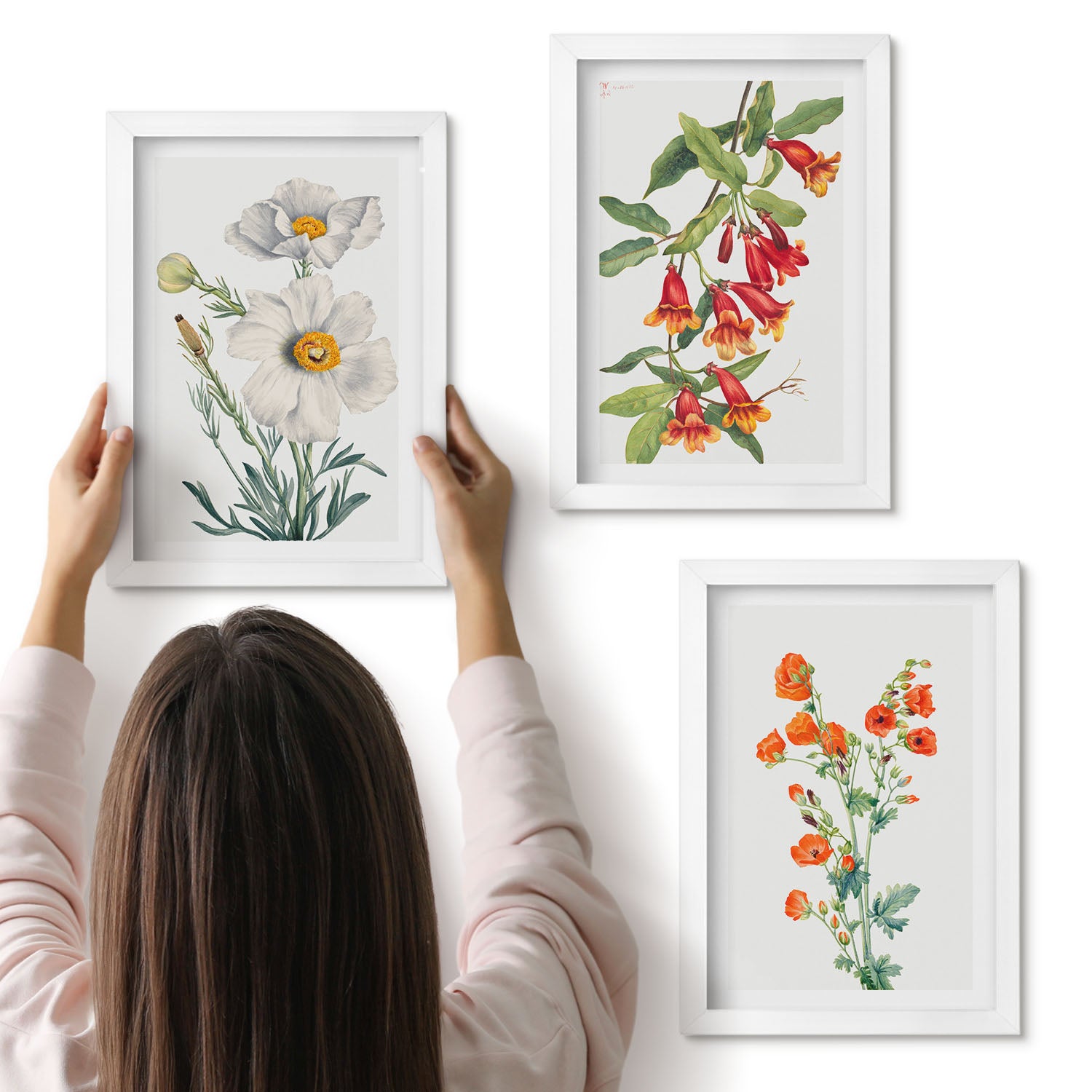 Galeria ścienna 3-częściowy komplet obrazów w białych ramach - Kwiatowe kompozycje retro vintage malarstwo - ArtPrintCave