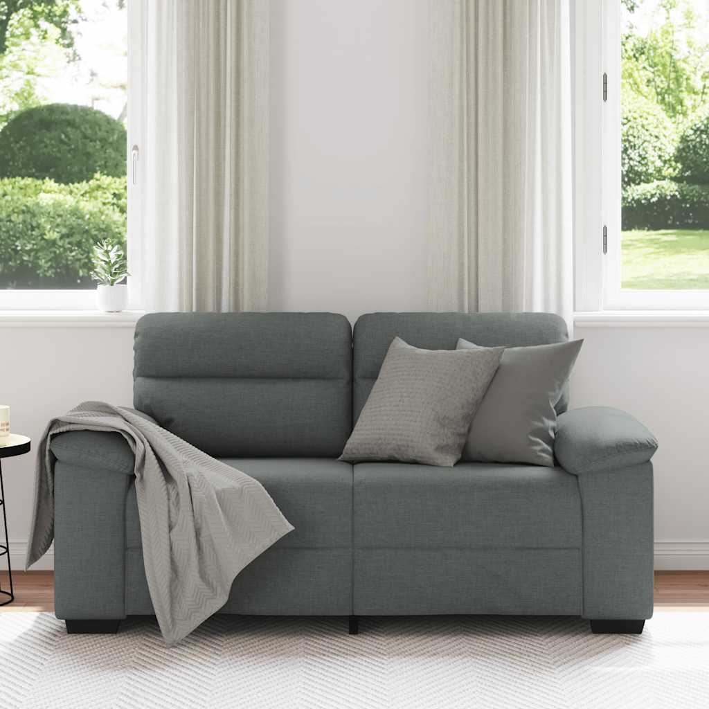 Sofa 2-osobowa Ciemnoszara 160x81x84 cm Tkanina