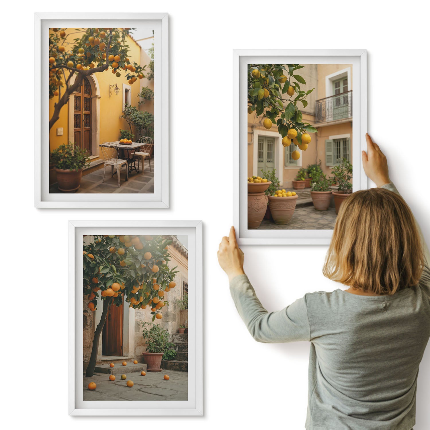 Galeria ścienna 3-częściowy komplet obrazów w białych ramach - Ogród z drzewami cytrusowymi w słonecznym otoczeniu - ArtPrintCave