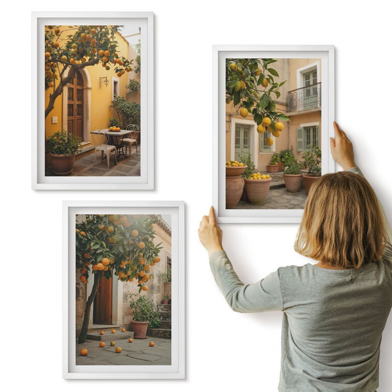 Galeria ścienna 3-częściowy komplet obrazów w białych ramach - Ogród z drzewami cytrusowymi w słonecznym otoczeniu - ArtPrintCave