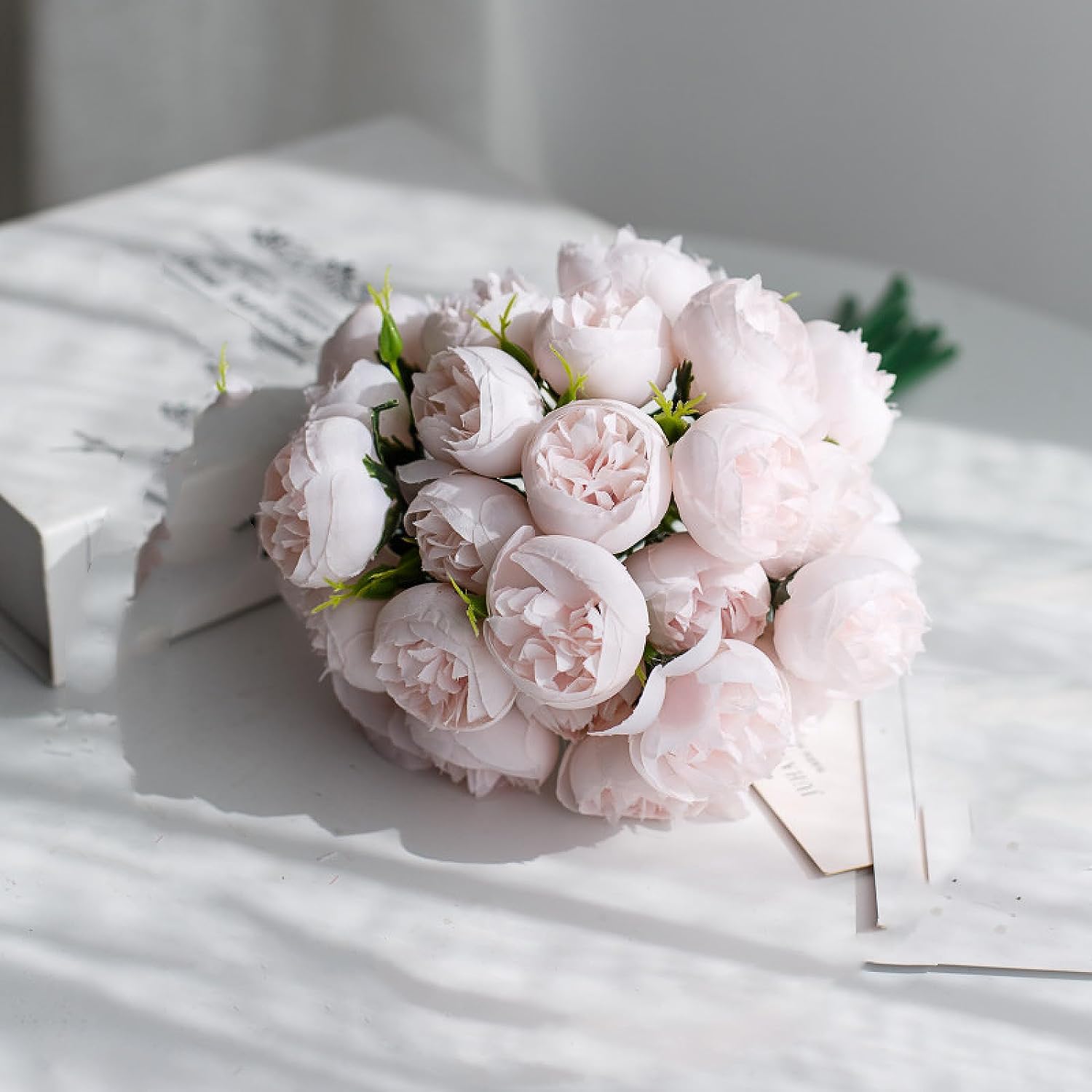 27 pąków herbacianych trzymających różę - 27 pąków herbacianych SN Light Rose