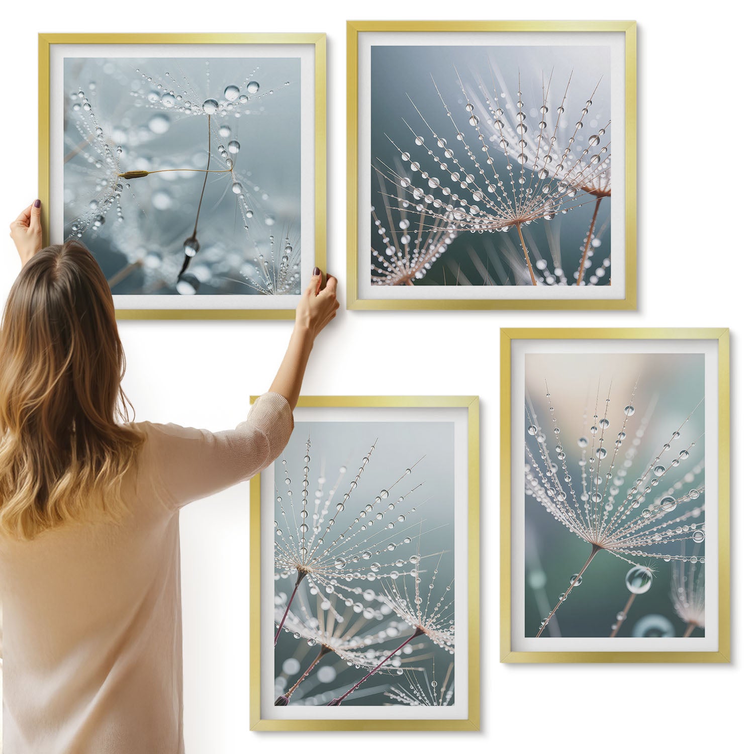 Galeria ścienna 4-częściowy komplet obrazów w złotych ramach - Krople wody na delikatnych pędach dmuchawców - ArtPrintCave