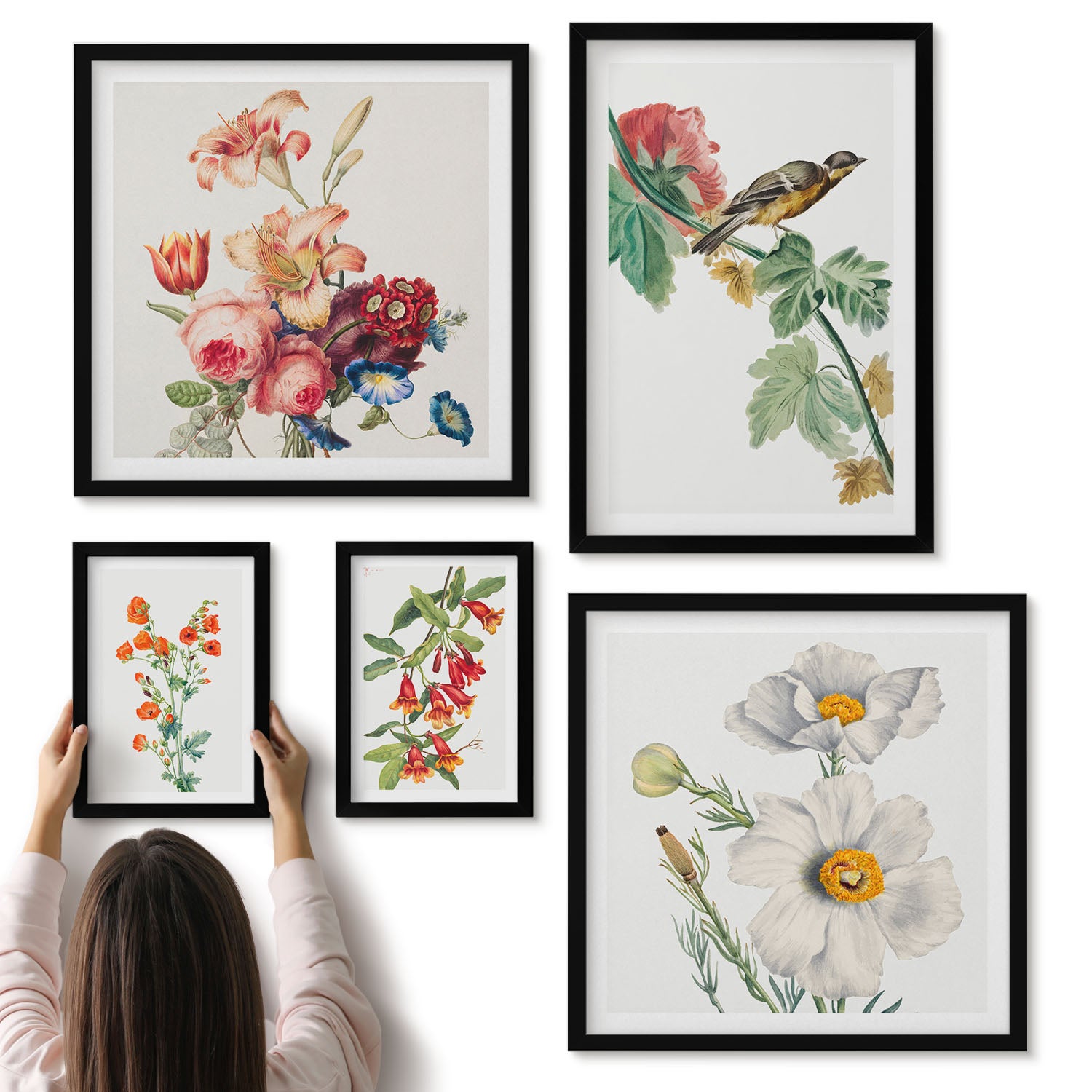 Galeria ścienna 5-częściowy komplet obrazów w czarnych ramach - Kwiatowe motywy i ptaki w stylu vintage do dekoracji wnętrz - ArtPrintCave