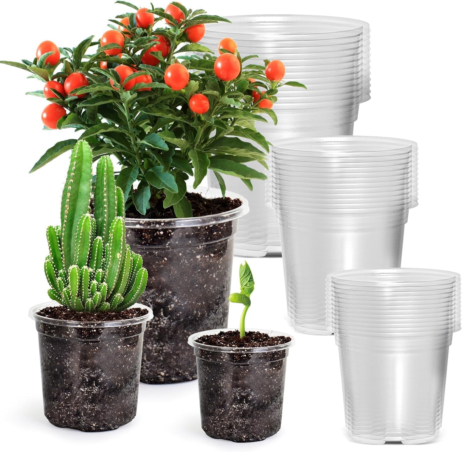 36 plastikowych doniczek na kwiaty, 9 cm / 10 cm / 13 cm, przezroczysty pojemnik z otworami drenażowymi, odporny na korzenie, do kwiatów, roślin, sadz