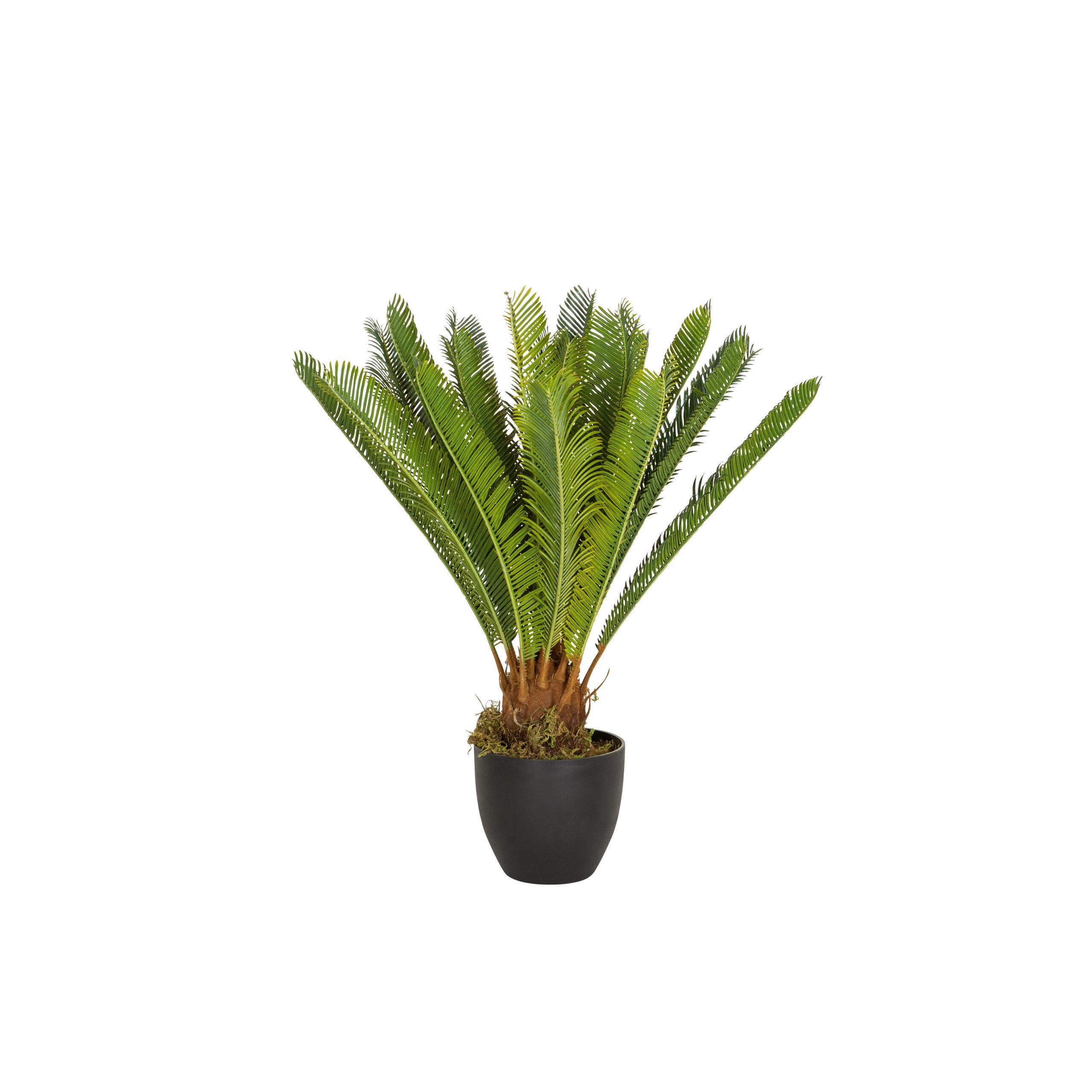 Sztuczna roślina CYCAS Zielony hjh OFFICE