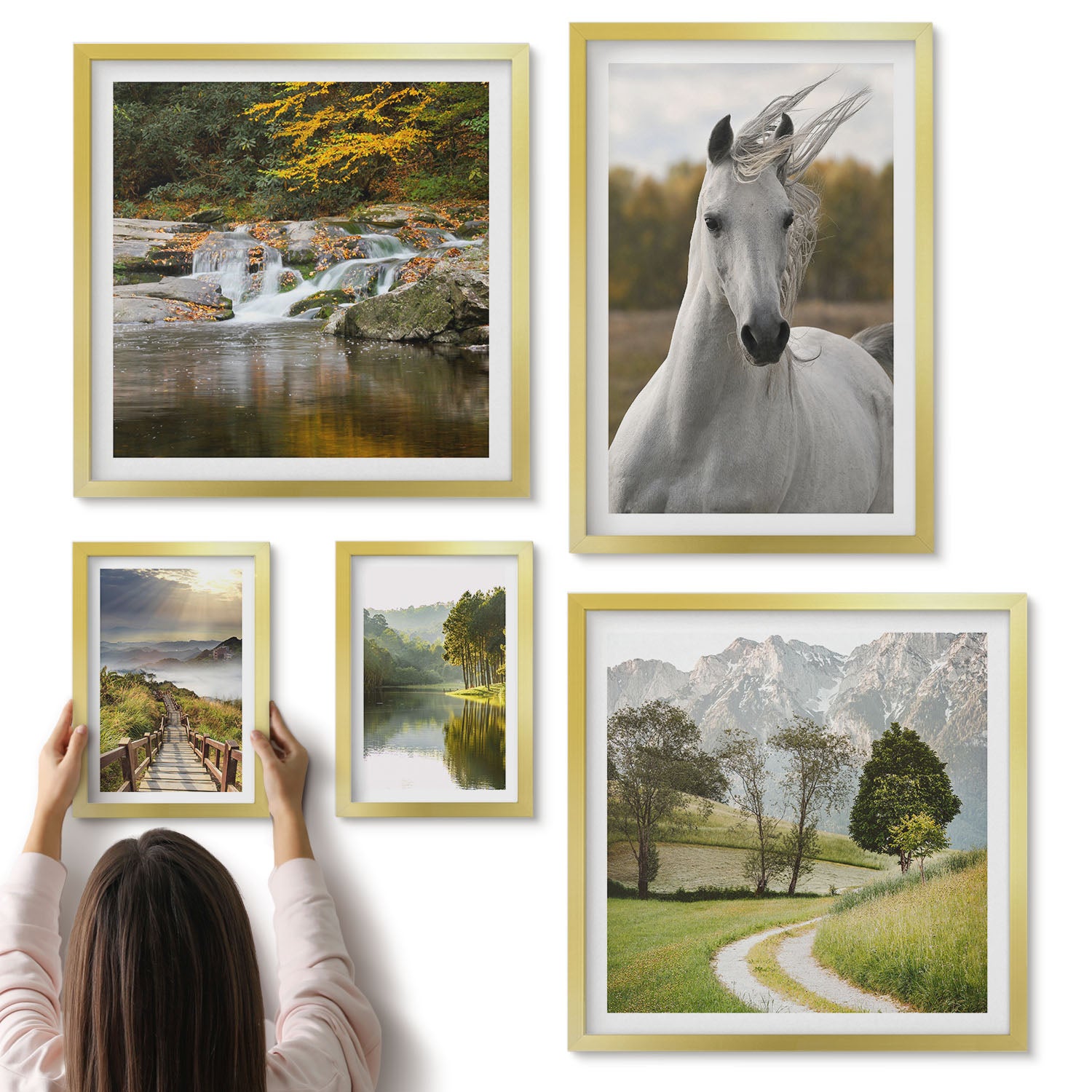 Galeria ścienna 5-częściowy komplet obrazów w złotych ramach - Naturalne piękno krajobrazów i zwierząt w harmonii - ArtPrintCave